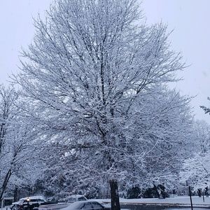 Meet your Posher, Afsheen